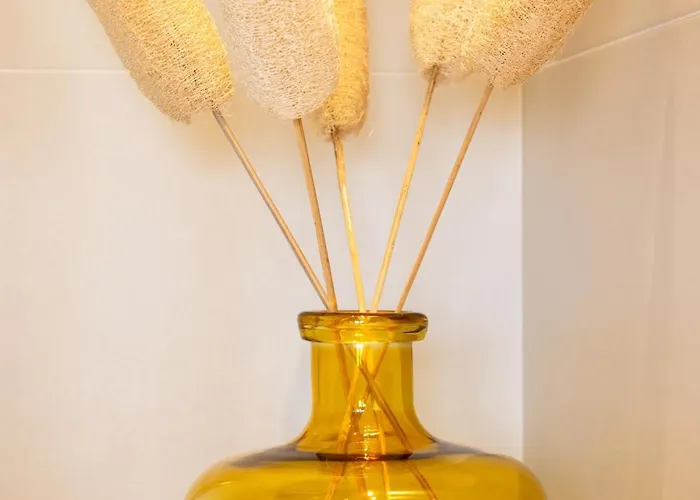 Bed & Breakfast Majora 139 Napels